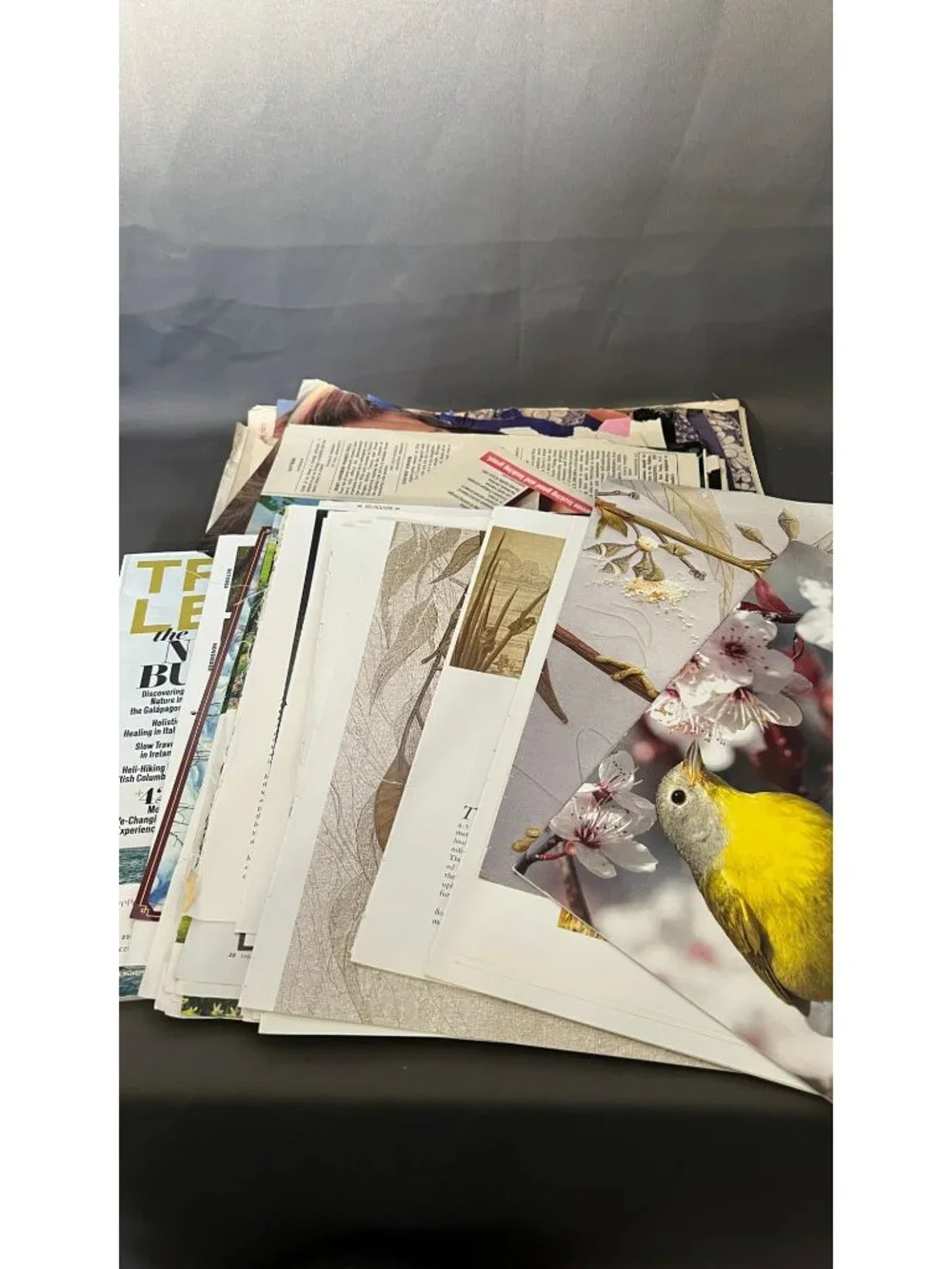 Vintage Ephemera Lot For Scrapbooking Journaling & Crafts